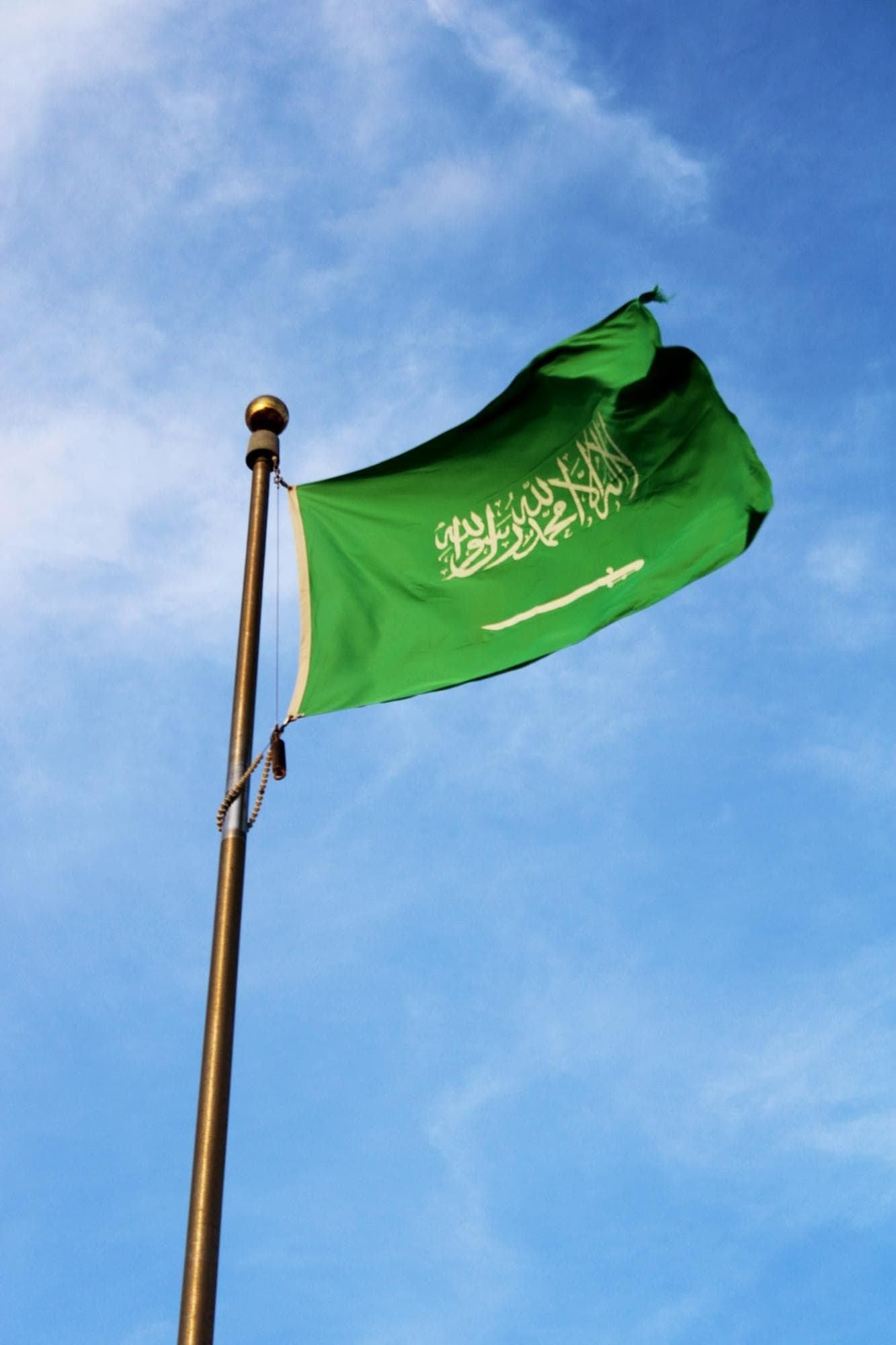 الريادة الوطنية